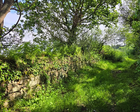 20240519_113801 Anse de Pellinec