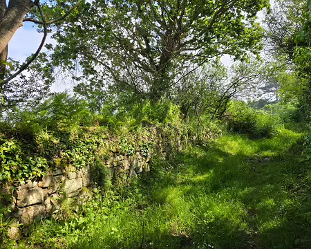 20240519_113801 Anse de Pellinec