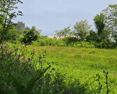 20240519_122511 Anse de Pellinec