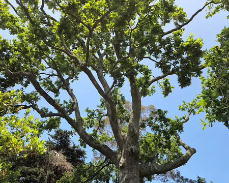 20240519_141742 Jardin de Pellinec