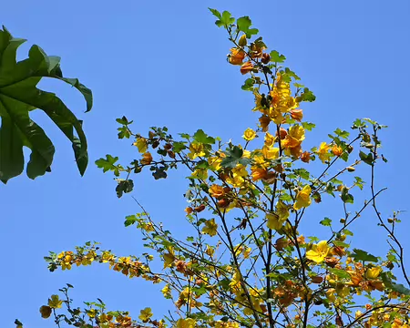 20240519_143100 Jardin de Pellinec