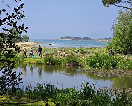 20240519_150636 Jardin de Pellinec