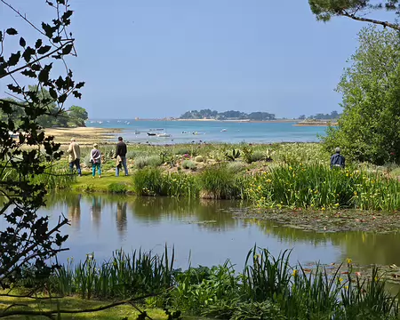 20240519_150636 Jardin de Pellinec