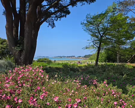 20240519_150817 Jardin de Pellinec