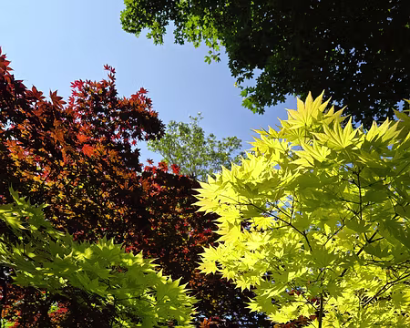 20240519_153907 Jardin de Pellinec