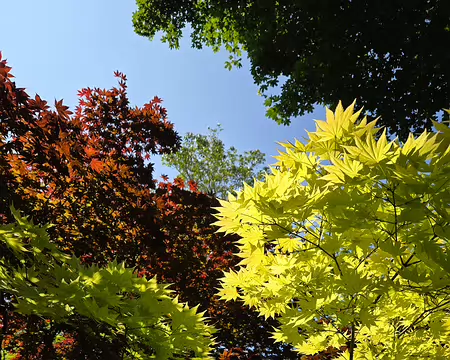 20240519_153907 Jardin de Pellinec