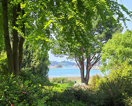 20240519_154254 Jardin de Pellinec