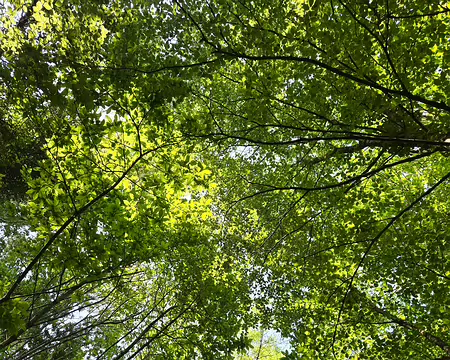 20240520_101205 La Roche-Jagu