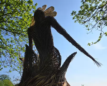 20240520_103902 La Roche-Jagu