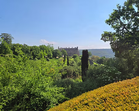 20240520_104452 La Roche-Jagu