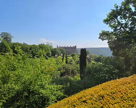 20240520_104452 La Roche-Jagu