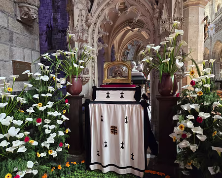 20240520_140519 Tréguier