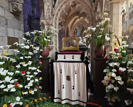 20240520_140519 Tréguier