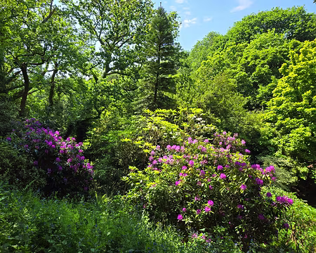 20240520_152754 Jardins de Kerdalo