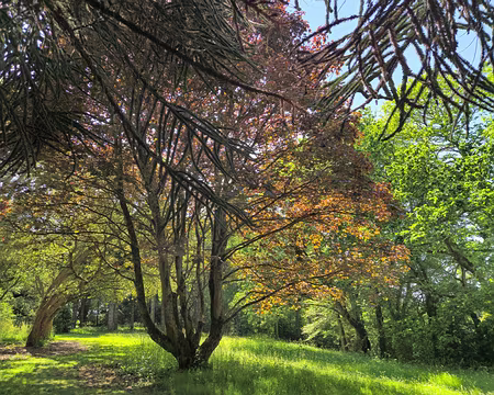 20240520_153118 Jardins de Kerdalo