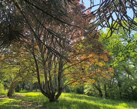 20240520_153118 Jardins de Kerdalo