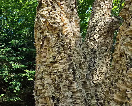 20240520_153309 Jardins de Kerdalo