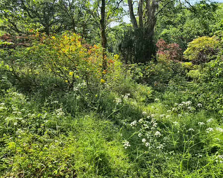 20240520_154253 Jardins de Kerdalo