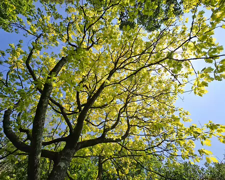 20240520_155629 Jardins de Kerdalo