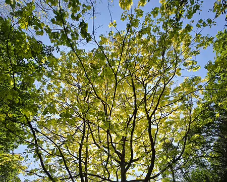 20240520_155741 Jardins de Kerdalo