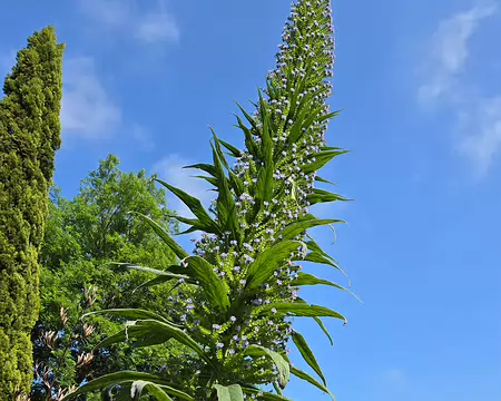 20240520_170124 Jardins de Kerdalo