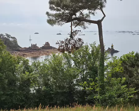 20240521_103746 J4 - Île de Bréhat.