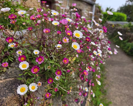 20240521_110455 Île de Bréhat
