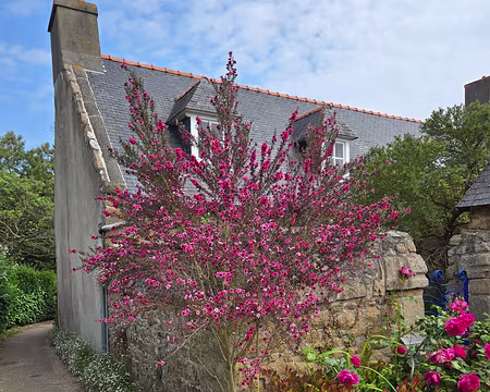 20240521_111328 Île de Bréhat