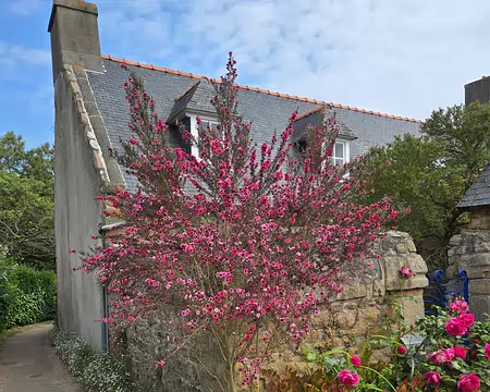 20240521_111328 Île de Bréhat