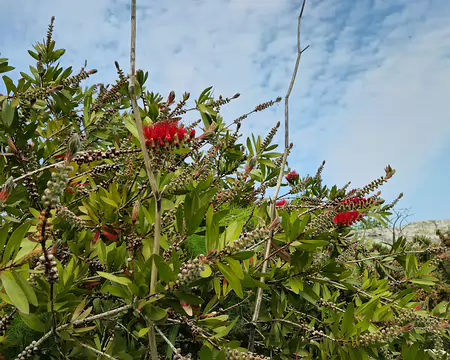 20240521_120031 Île de Bréhat