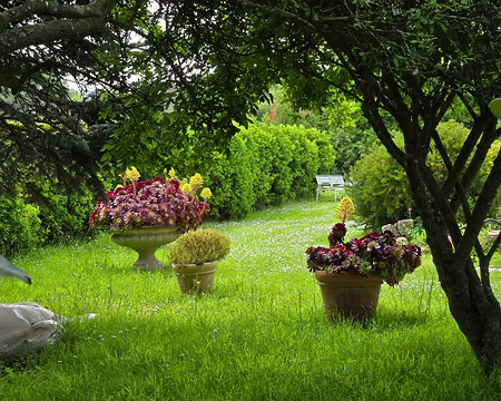 20240521_120941 Île de Bréhat