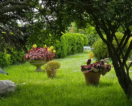 20240521_120941 Île de Bréhat