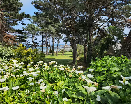 20240521_154150 Île de Bréhat