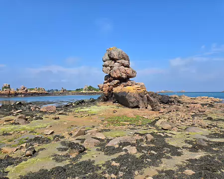 20240521_160608 Île de Bréhat