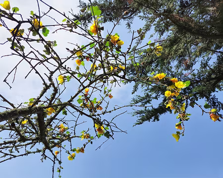 20240521_161023 Île de Bréhat