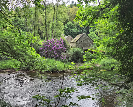 20240522_095118 Bords du Léguer