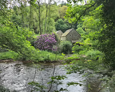 20240522_095118 Bords du Léguer