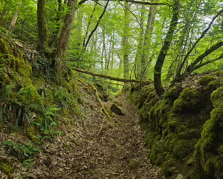 20240522_131511 Chemin creux