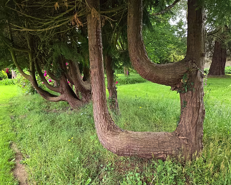 20240522_142333 Visite des jardins et du château de Kergrist