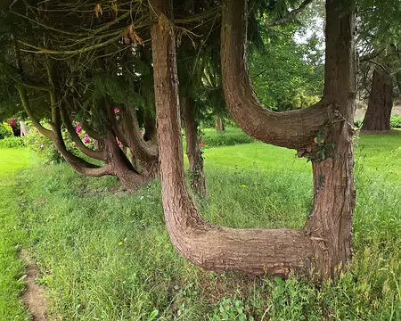 20240522_142333 Visite des jardins et du château de Kergrist