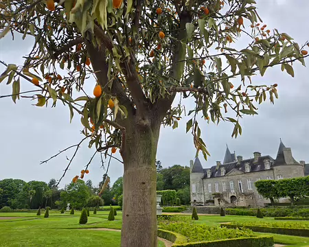 20240522_151032 Visite des jardins et du château de Kergrist