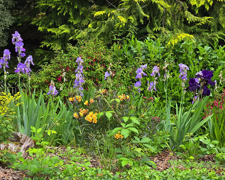 20240522_162448 Visite des jardins et du château de Kergrist