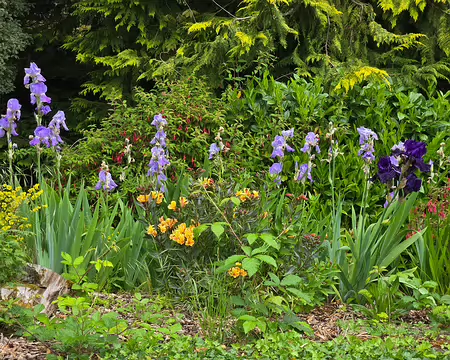 20240522_162448 Visite des jardins et du château de Kergrist