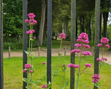 20240522_162528 Visite des jardins et du château de Kergrist