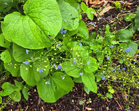 20240523_100259 Lannion