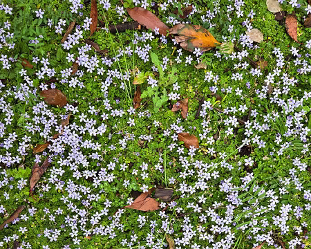 20240523_100653 Lannion