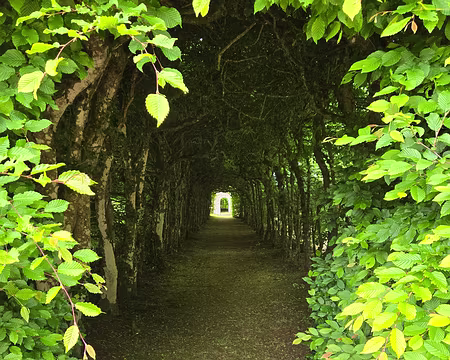 20240524_150444 Visite des jardins et du château de Rosanbo