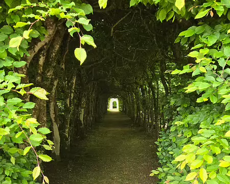 20240524_150444 Visite des jardins et du château de Rosanbo