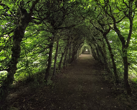 20240524_150649 Visite des jardins et du château de Rosanbo