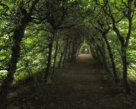 20240524_150649 Visite des jardins et du château de Rosanbo
